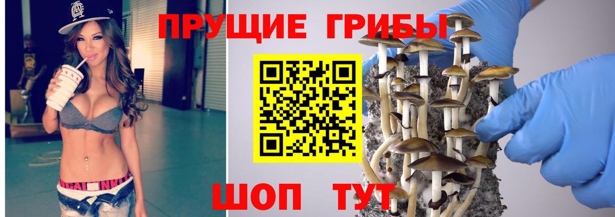 Псилоцибиновые грибы прущие грибы Мурино